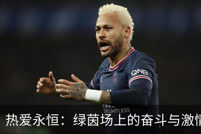 热爱永恒：绿茵场上的奋斗与激情
